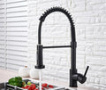 Torneira Pulverizador Retrátil – Golden Kitchen Faucet